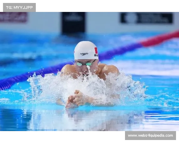 闫子贝的坚持：老将与新秀董志豪的蛙泳内部竞争